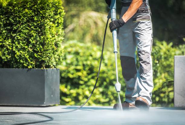 Animal Enclosure Cleaning in Primera, TX