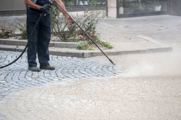 Best House Exterior Washing  in Primera, TX
