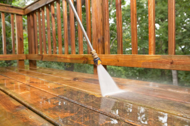Best Fence Cleaning  in Primera, TX